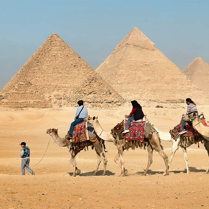 pyramides dromadaires caire