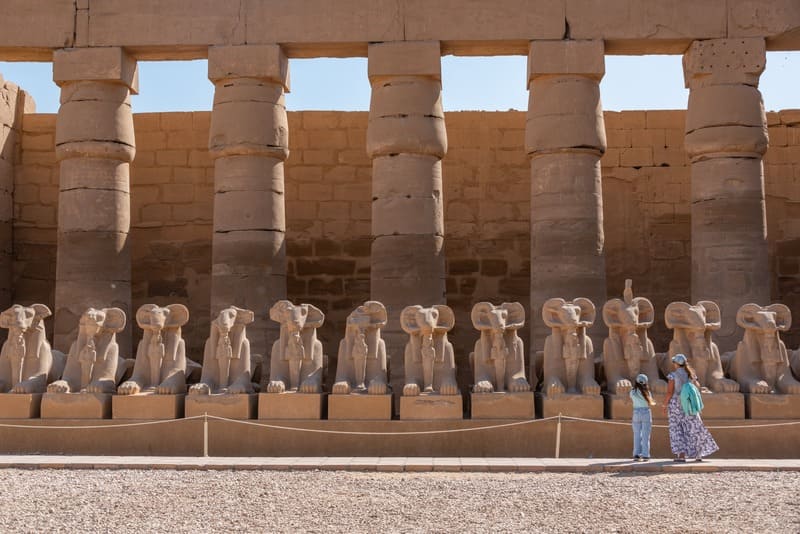 Allees des sphinx louxor allée des sphinx louxor egypte