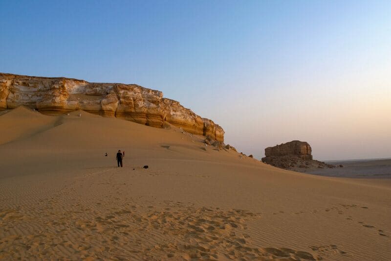 Oasis du fayoum Egypte