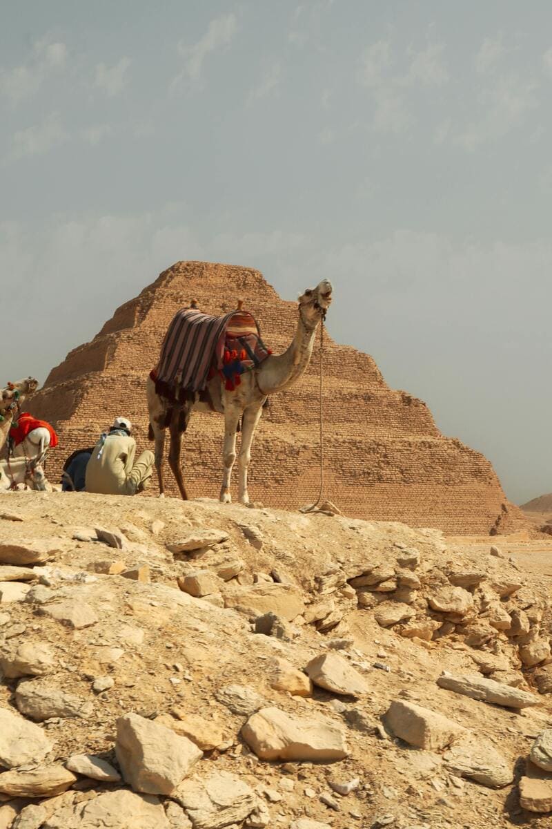 Saqqara Pyramide de Saqqara Egypte