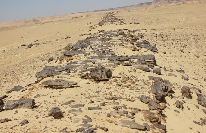 route de basalte oasis du fayoum egypte