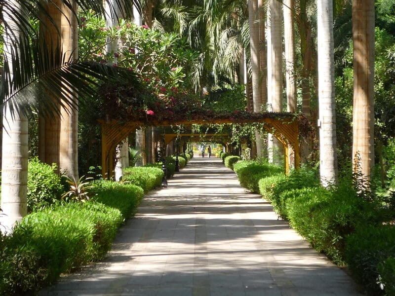 allée jardin botanique lord kitchener