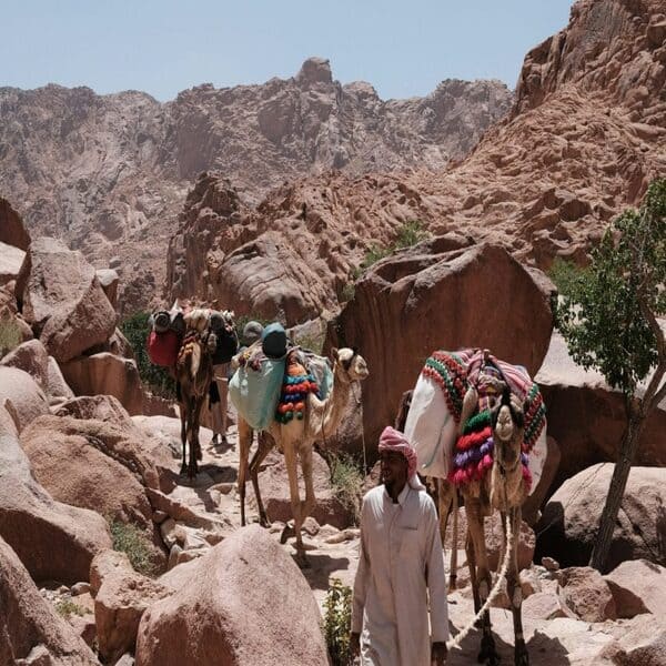 visiter sinaï